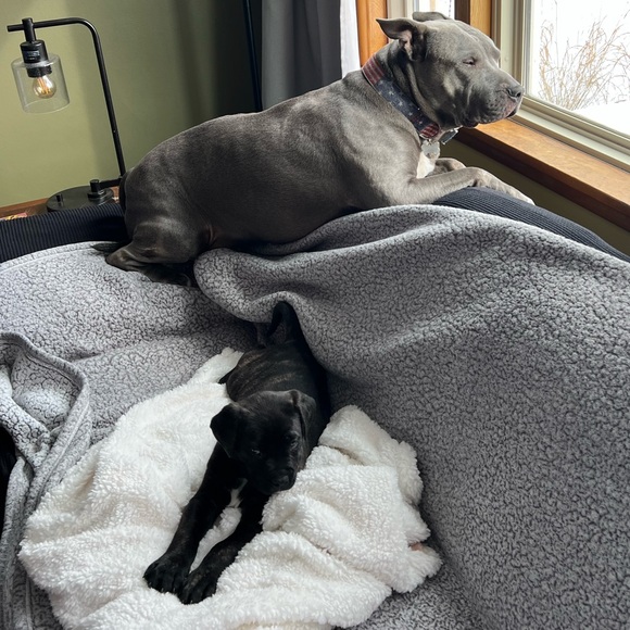 Meet your Posher, Tania - Picture 2 of 16